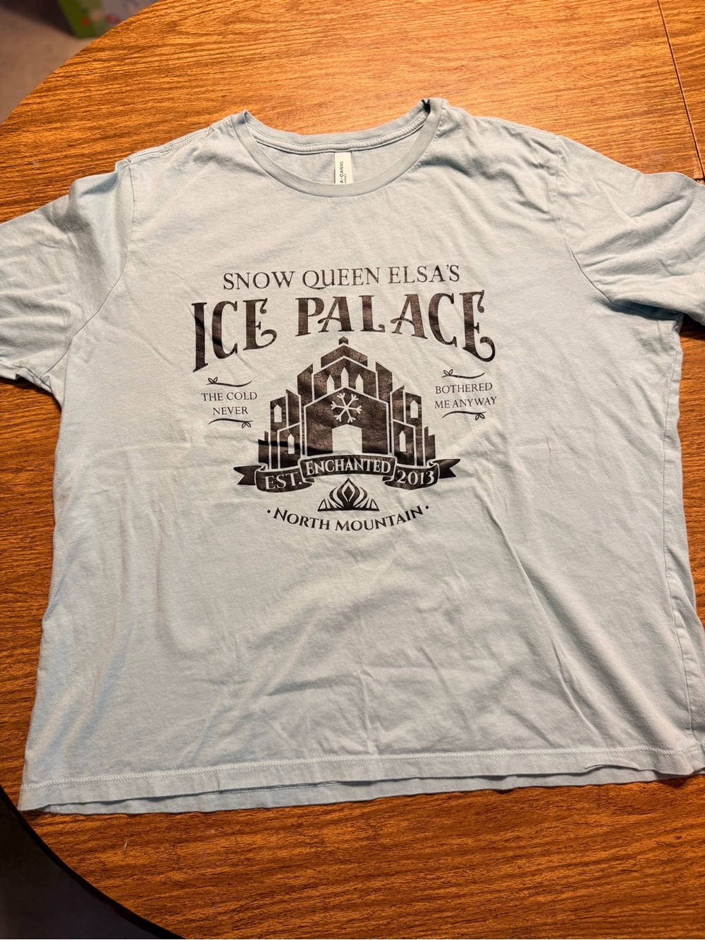Snow Queen Elsa's Ice Palace Graphic Tee - Light Blue